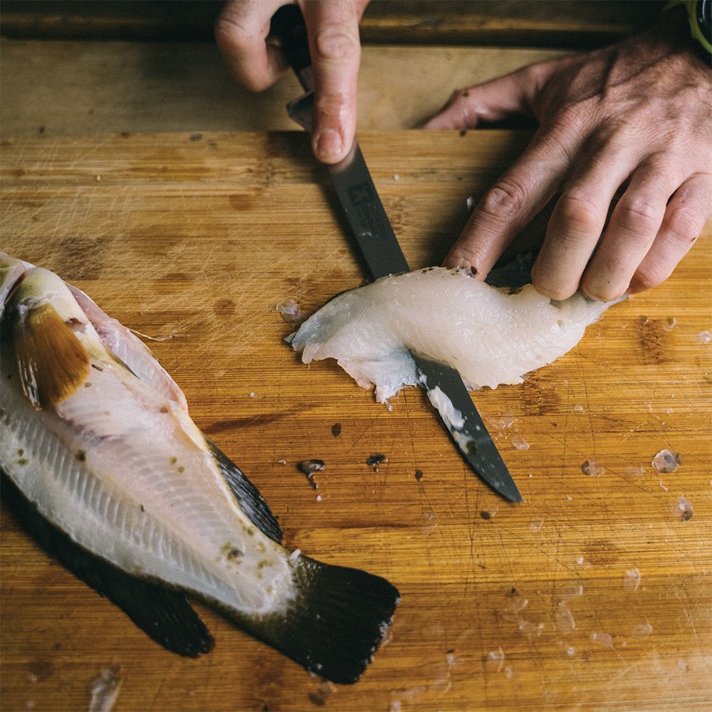 cutting fish
