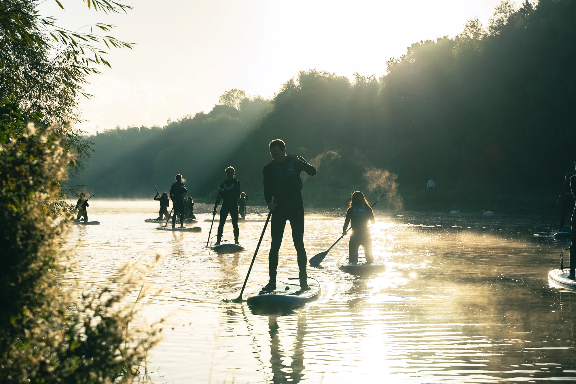 People paddleboarding on a misty, sunlit lake surrounded by trees.