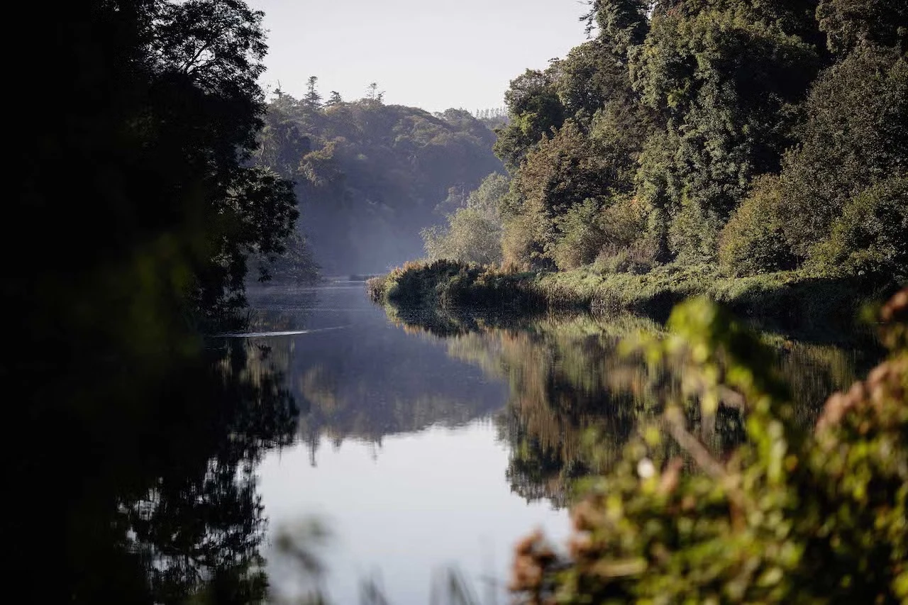 Calm river surrounded by lush trees and mist, reflecting the serene natural landscape.