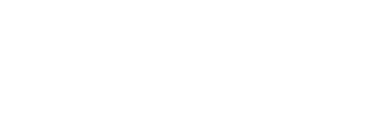 wolfgang logo